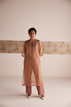 Tissue Kurta Set - Suit